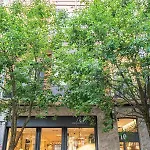 Patagonia Downtown & By Beauty Appartement *